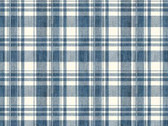 Blue Jean Baby - Denim Check Dream from Michael Miller Fabric