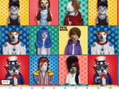Pets Rock Set Patch Multi from Michael Miller Fabric