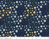 It's a Boy - Stars Navy by Echo Park Paper Co from Riley Blake Fabric