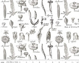 Art Journal - Flower Study Light White by J Wecker Frisch from Riley Blake Fabric
