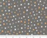 Late October - Xs Blender Concrete Grey by Sweetwater from Moda Fabrics