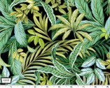 Exotica - Jungle Foliage Black from Michael Miller Fabric