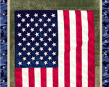 All American - We The People PANEL 24 Inches by Whistler Studios from Windham Fabrics