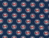 MLB Minnesota Twins from Fabric Traditions Fabric