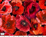 Summer Wildflowers - Poppy Love Ruby from Michael Miller Fabric’