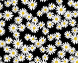 Daisy Delight - Sweet Daisies Black from Kanvas Studio Fabric