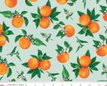 Monthly Placements 2 - June Oranges Mint from Riley Blake Fabric