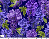 Wisteria Lane - Wisteria Midnight from Michael Miller Fabrics