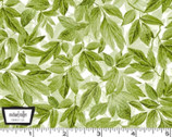Wisteria Lane - Wisteria Leaves Sage from Michael Miller Fabrics