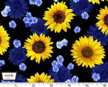 Summer Sunflowers - Dreamy Sunflowers Black from Michael Miller Fabrics