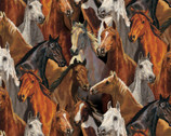 Horses Packed from Springs Creative Fabric