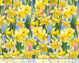 Daffodil Just Hatched - Daffodils from Timeless Treasures Fabric