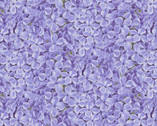 Bloomerang - Floral Petals Purple from Henry Glass Fabric