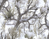 True Timber - Snow Branches from Springs Creative Fabric