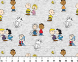 Peanuts - Charlie Brown and Gang Classic Grey from Springs Creative Fabric