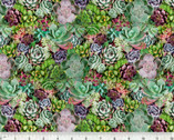 One Of A Kind - Succulents Multi from Windham Fabrics