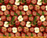 A La Carte - Apple A Day from Windham Fabrics
