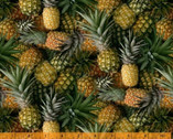 A La Carte - Welcome Committee Pineapples from Windham Fabrics