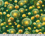 Night Fable - Dandelion Wishes Wild Green from Robert Kaufman Fabrics