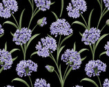 Whispering Lilies - Lilies Black by Jackie Robinson from Benartex Fabrics