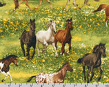 Band of Horses - Yellow by Bob Langrish from Robert Kaufman
