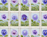 Pretty As A Pansy - Window Box from Henry Glass