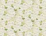 Rose Devine - Floral Cream Ivory Hydrangea by Mia from Springs Creative