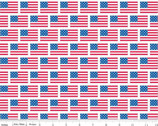 Patriotic Picnic - Flags White by Doodlebug Design from Riley Blake