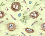Nature Study - Nest and Eggs Light Green by Nancy Mink from Wilmington Prints Fabric