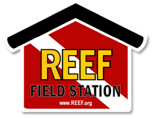 reef-field-station.gif