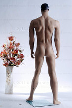 In this full body rear view photo, mannequin Matt stands with his legs apart in an even stance, with both hands almost straight down at hip level.  Mannequin Matt can be displayed with or without a wig / hairpiece.  Glass stand and support hardware included.