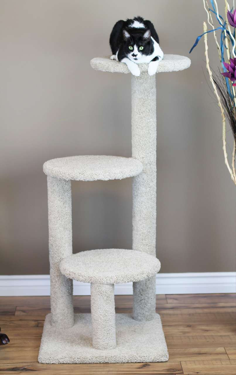cheap cat condos pet kitten new cat condos 46 cheap cat condos pet kitten new cat condos 46