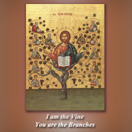 I Am the Vine, You are the Branches CD cover by Fr. Richard Clancy of the Archdiocese of Boston