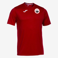 Stirling Albion Junior Academy Training T-Shirt