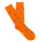 Holland Casual Socks Box Set 1
