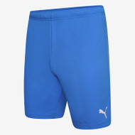 Puma teamRISE Shorts