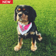 Airdrieonians Dog Bandana