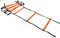 Precision Training Pro Neo 4m Speed Ladder