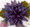 Purple Whimsy Stick Flower from Kari Mecca's Whimsy Flowers and Trims Book