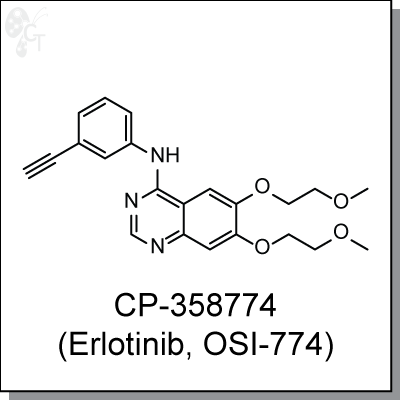 ドルファディロム　b CP-358774 (Erlotinib, OSI-774) | EGFR inhibitor - Cellagen