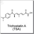 Trichostatin-A (TSA) (.png)