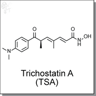 Trichostatin-A (TSA) (.png)