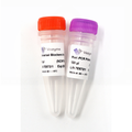 VAHTS Target Capture Universal Blockers and Post-PCR Primer Mix for MGI-SI NCM101 