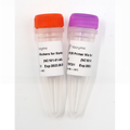 VAHTS Target Capture Universal Blockers and Post-PCR Primer Mix for Illumina-TS NC101 