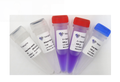 HiScript II One Step RT-PCR Kit (Dye Plus) P612 