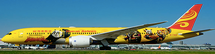 Hainan Airlines B787-9 (All Yellow) B-7302 w/Stand