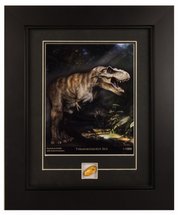 Framed Photograph of Tyrannosaurus Rex with Genuine Dominican Amber and Insect Specimen