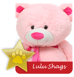 Lulu Shags famous giant teddy bear
