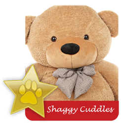 Shaggy Cuddles famous teddy bear