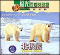 可爱的动物—北极熊